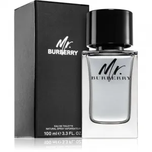 Burberry Mr. Burberry toaletná voda pre mužov 100 ml