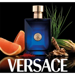 Versace Dylan Blue Pour Homme toaletná voda pre mužov 50 ml