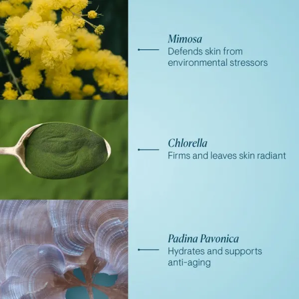 Elemis Pro-Collagen Marine Cream denný protivráskový krém 50 ml