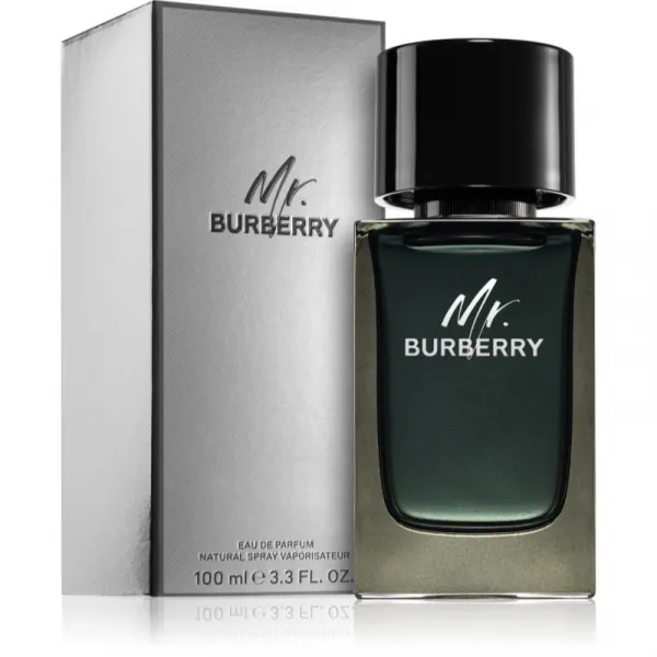 Burberry Mr. Burberry parfumovaná voda pre mužov 100 ml
