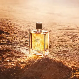 HERMÈS Terre d’Hermès Eau Intense Vétiver parfumovaná voda pre mužov 50 ml