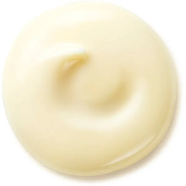 Shiseido Benefiance Wrinkle Smoothing Day Cream denný krém proti vráskam SPF 25 50 ml