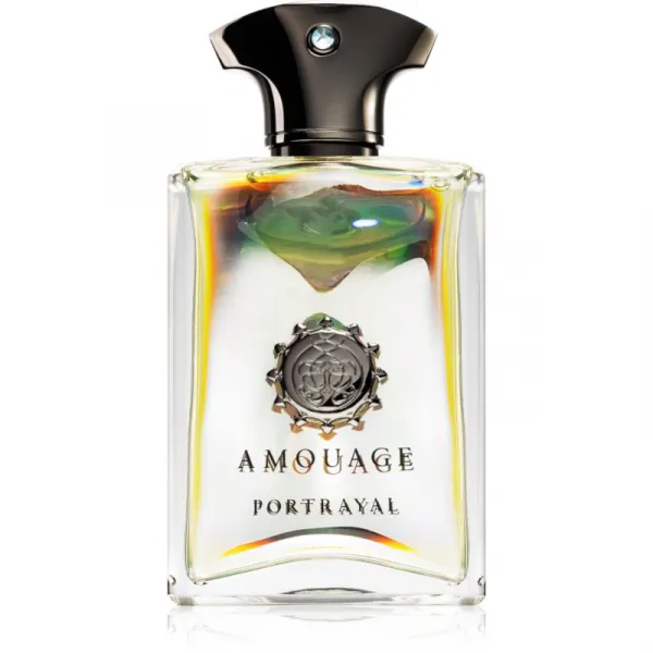 Amouage Portrayal parfumovaná voda pre mužov 100 ml