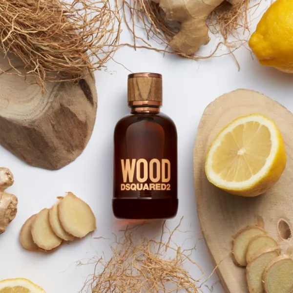 Dsquared2 Wood Pour Homme toaletná voda pre mužov 30 ml