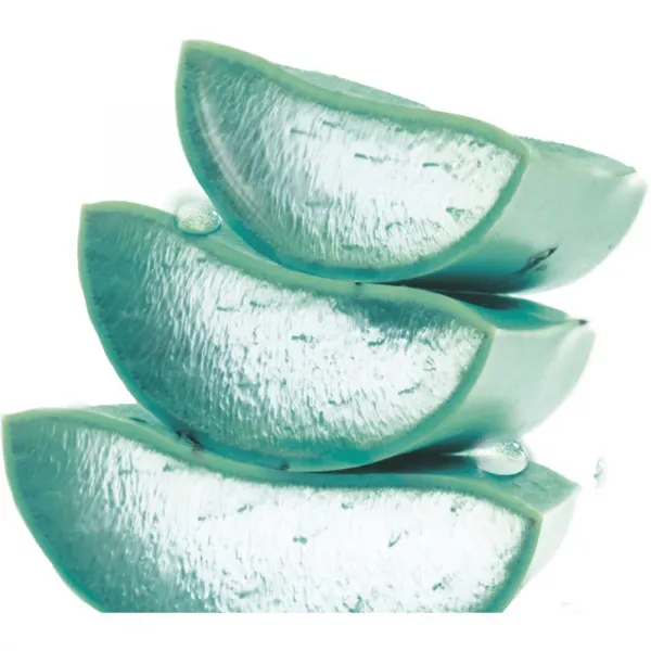 Garnier Hyaluronic Aloe Jelly Hydratačný Krém 50 ml