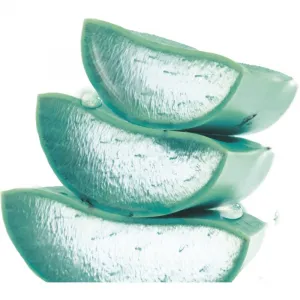 Garnier Hyaluronic Aloe Jelly Hydratačný Krém 50 ml