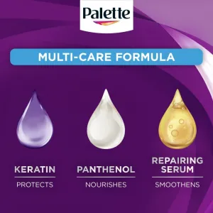 Palette Intensive Color Creme farba na vlasy ľadový striebroplavý 10-1