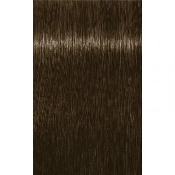 Schwarzkopf Professional IGORA Royal farba na vlasy odtieň 6-16 Dark Blonde Cendré Chocolate 60 ml