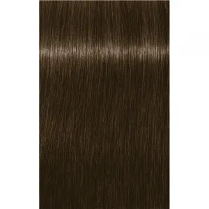 Schwarzkopf Professional IGORA Royal farba na vlasy odtieň 6-16 Dark Blonde Cendré Chocolate 60 ml