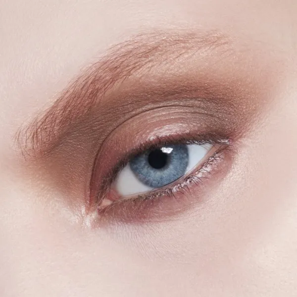 MAC Cosmetics Eye Shadow očné tiene odtieň Charcoal Brown Matte 1,5 g