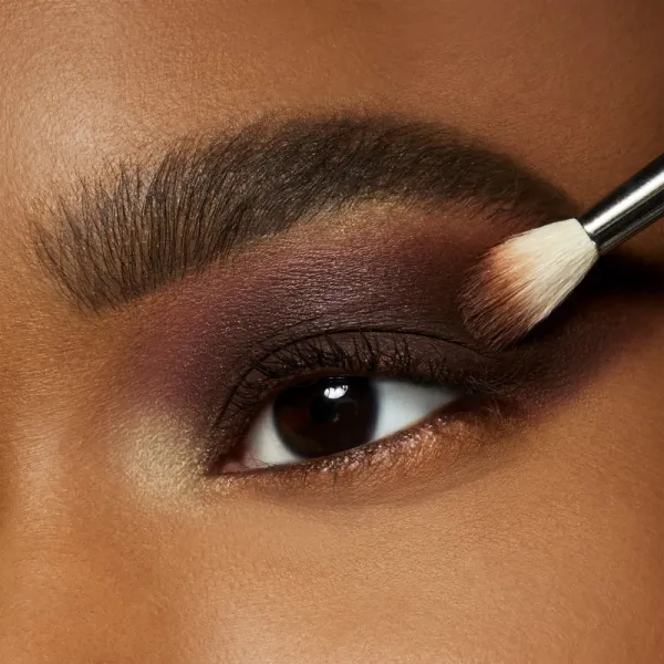 MAC Cosmetics Eye Shadow očné tiene odtieň Embark Matte 1,5 g