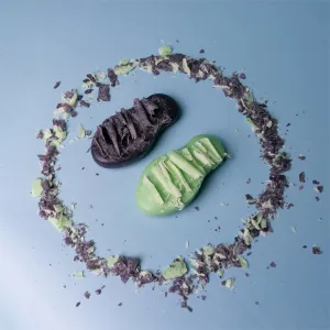 Foamie Too Coal To Be True čistiace mydlo na tvár pre normálnu až zmiešanú pleť 60 g