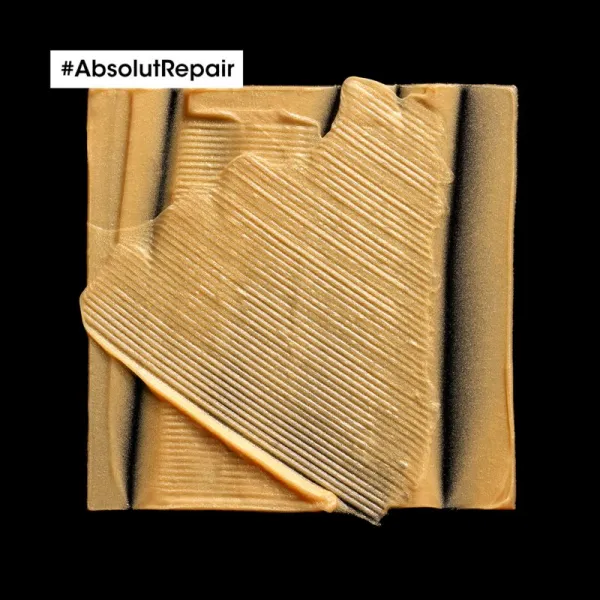 L’Oréal Professionnel Serie Expert Absolut Repair regeneračná maska pre suché a poškodené vlasy 250 ml