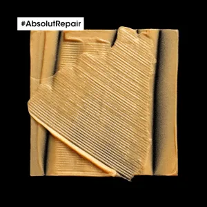 L’Oréal Professionnel Serie Expert Absolut Repair regeneračná maska pre suché a poškodené vlasy 250 ml