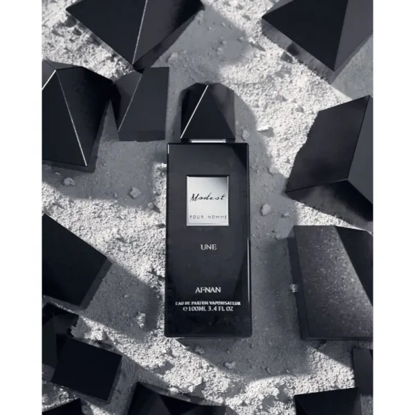 Afnan Modest Une Pour Homme parfumovaná voda pre mužov 100 ml