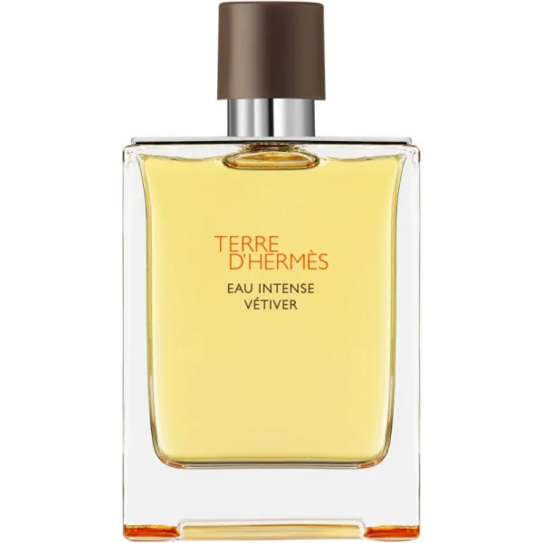 HERMÈS Terre d’Hermès Eau Intense Vétiver parfumovaná voda pre mužov 200 ml