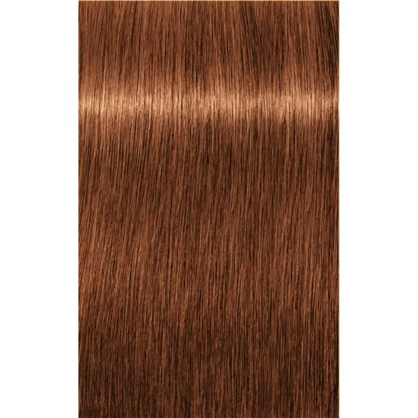 Schwarzkopf Professional IGORA Royal farba na vlasy odtieň 7-76 Medium Blonde Copper Chocolate 60 ml