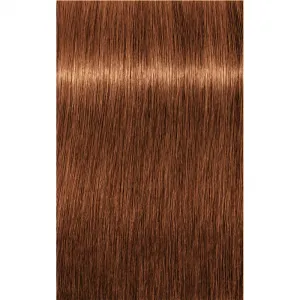 Schwarzkopf Professional IGORA Royal farba na vlasy odtieň 7-76 Medium Blonde Copper Chocolate 60 ml