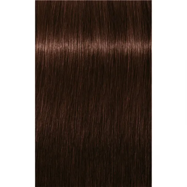 Schwarzkopf Professional IGORA Royal farba na vlasy odtieň 4-68 Medium Brown Chocolate Red 60 ml