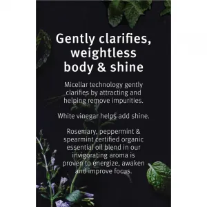 Aveda Rosemary Mint Weightless Conditioner jemný kondicionér pre starostlivosť na lesk a hebkosť vlasov 50 ml