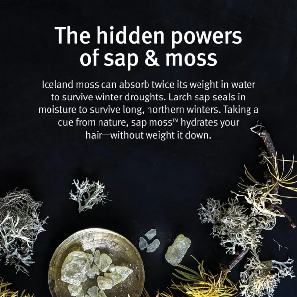 Aveda Sap Moss™ Weightless Hydrating Shampoo ľahký hydratačný šampón proti krepateniu 200 ml