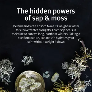Aveda Sap Moss™ Weightless Hydrating Shampoo ľahký hydratačný šampón proti krepateniu 200 ml