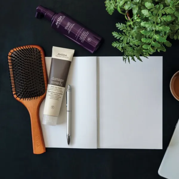 Aveda Wooden Paddle Brush drevená kefa na vlasy 1 ks