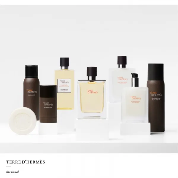 HERMÈS Terre d’Hermès deostick (bez alkoholu) pre mužov 75 ml