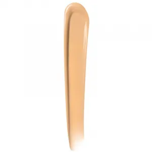 Clinique Even Better™ All-Over Concealer + Eraser krycí korektor odtieň WN 46 Golden Neutral 6 ml