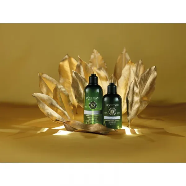 L’Occitane Gentle & Balance Conditioner jemný kondicionér pre všetky typy vlasov 250 ml