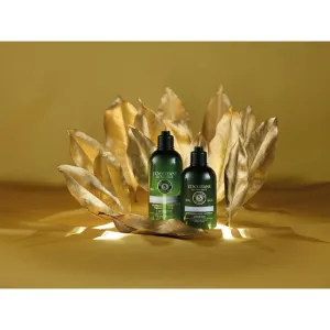 L’Occitane Gentle & Balance Conditioner jemný kondicionér pre všetky typy vlasov 250 ml