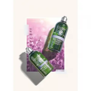 L’Occitane Gentle & Balance Conditioner jemný kondicionér pre všetky typy vlasov 250 ml