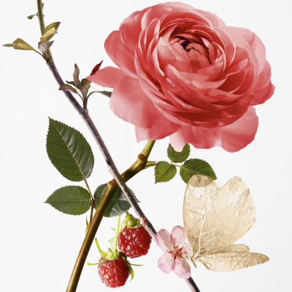 GOUTAL Rose Pompon toaletná voda pre ženy 100 ml
