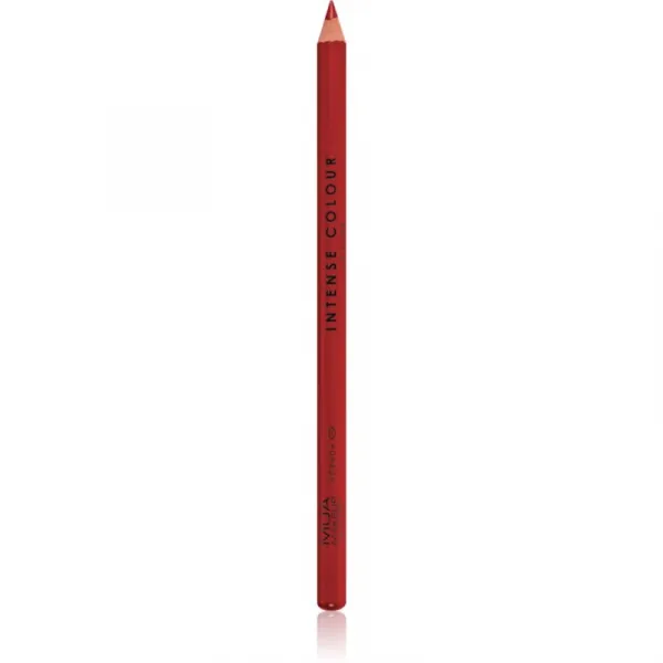MUA Makeup Academy Intense Colour precízna ceruzka na pery odtieň Agenda 1.5 g
