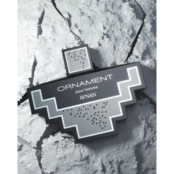 Afnan Ornament Pour Homme parfumovaná voda pre mužov 100 ml