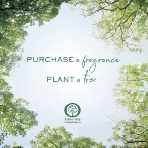 Ralph Lauren Polo Earth toaletná voda unisex 100 ml