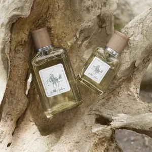 Ralph Lauren Polo Earth Antilles Vetiver toaletná voda unisex 100 ml