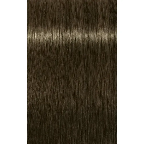 Schwarzkopf Professional IGORA Royal farba na vlasy odtieň 6-31 Light Brown 60 ml