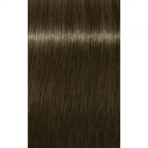 Schwarzkopf Professional IGORA Royal farba na vlasy odtieň 6-31 Light Brown 60 ml