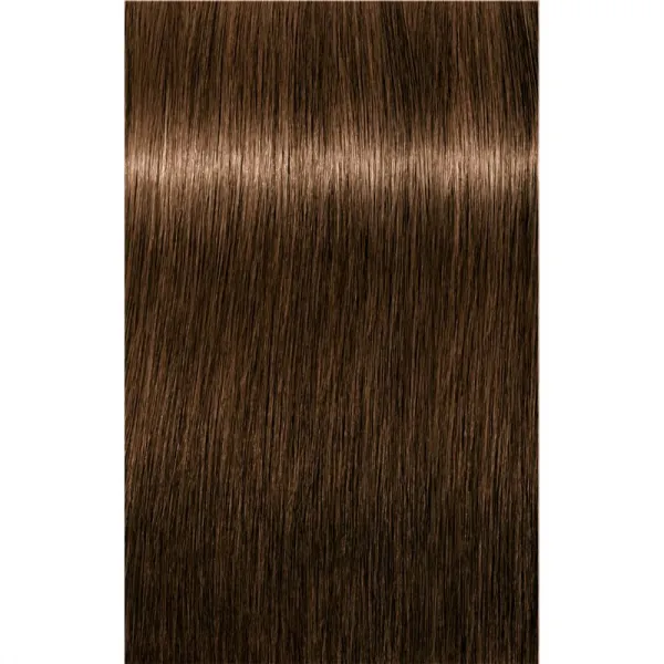 Schwarzkopf Professional IGORA Royal Absolutes farba na vlasy odtieň 5-50 60 ml