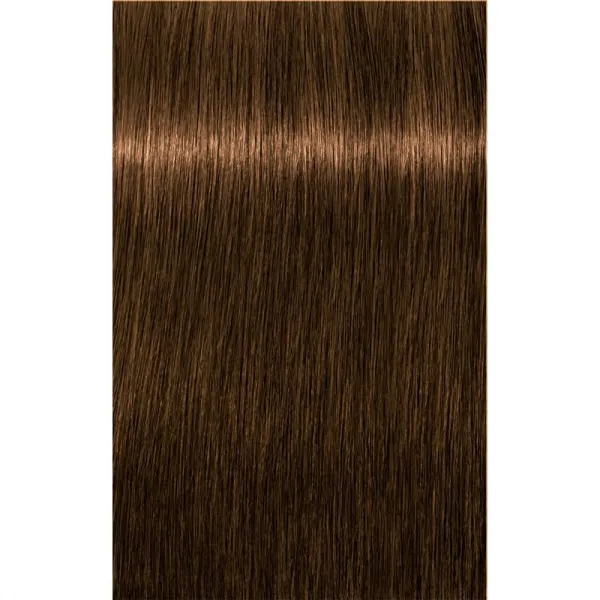 Schwarzkopf Professional IGORA Royal Absolutes farba na vlasy odtieň 6-50 60 ml