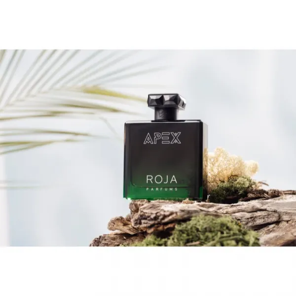 Roja Parfums Apex parfumovaná voda pre mužov 100 ml