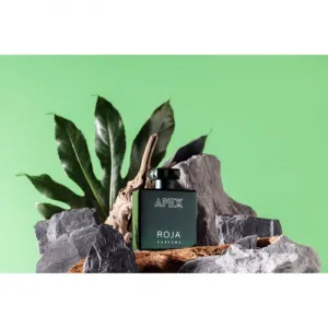 Roja Parfums Apex parfumovaná voda pre mužov 100 ml