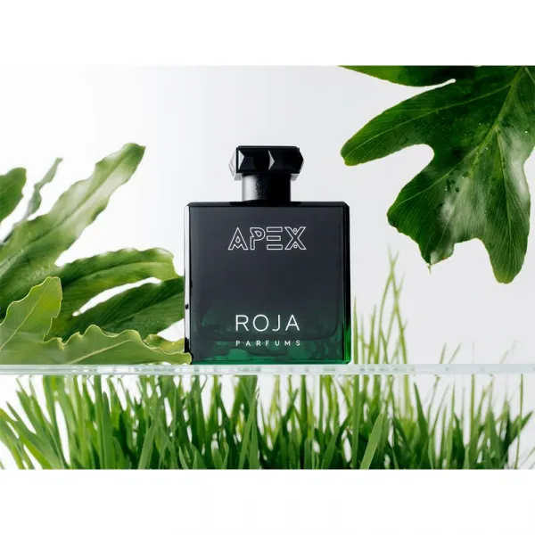 Roja Parfums Apex parfumovaná voda pre mužov 100 ml