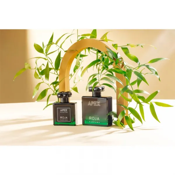 Roja Parfums Apex parfumovaná voda pre mužov 100 ml