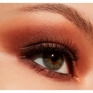 MAC Cosmetics Connect In Colour Eye Shadow Palette 12 shades paletka očných tieňov odtieň Future Flame 12,2 g
