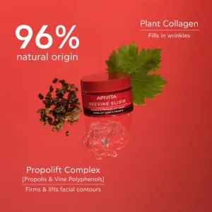 APIVITA BeeVine Elixir Lift Cream Rich Denný krém proti vráskam 50 ml