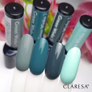 Claresa SoakOff UV/LED Color Green Winks gélový lak na nechty odtieň 2 5 g