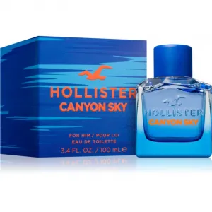 Hollister Canyon Sky For Him toaletná voda pre mužov 100 ml