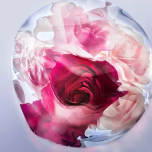 Lancôme LA VIE EST BELLE ROSE EXTRAORDINAIRE Parfumovaná voda